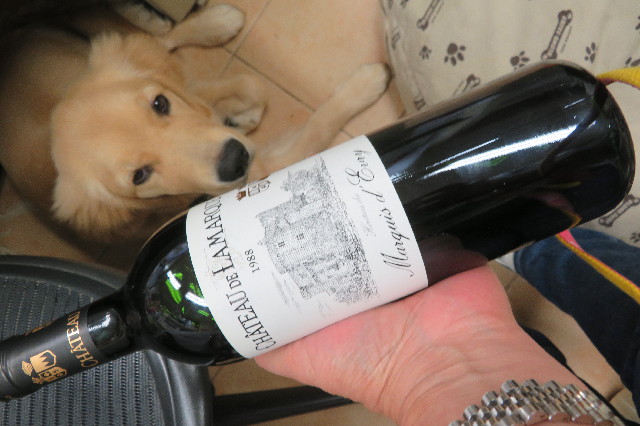 ファイル 6665-5.jpg