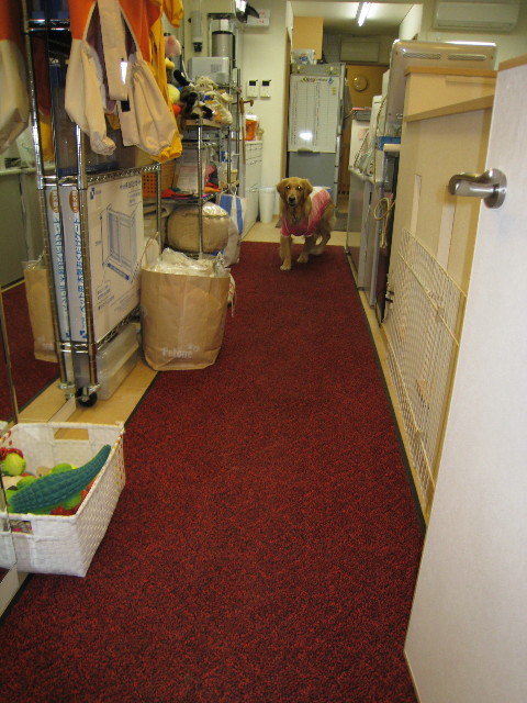 ファイル 667-2.jpg