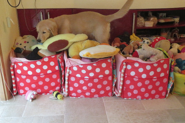 ファイル 6671-1.jpg