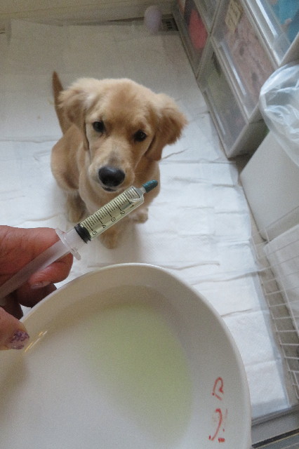 ファイル 6671-2.jpg