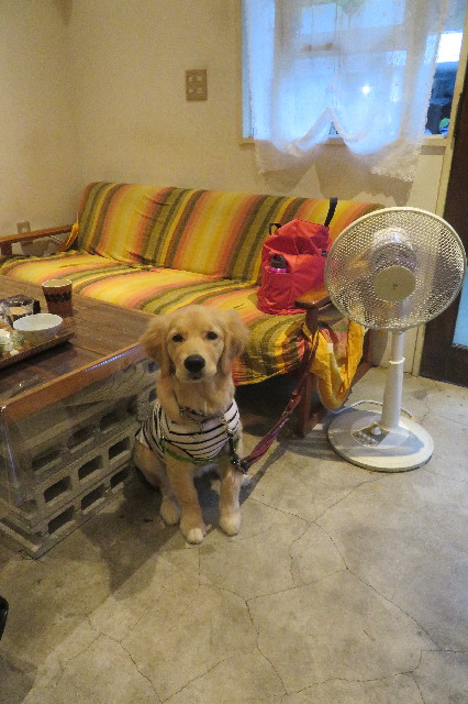 ファイル 6671-3.jpg