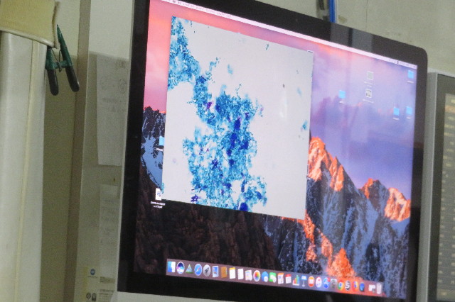 ファイル 6671-5.jpg