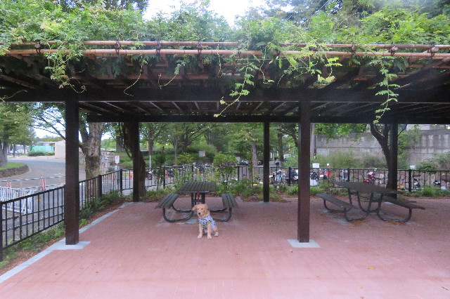 ファイル 6672-4.jpg