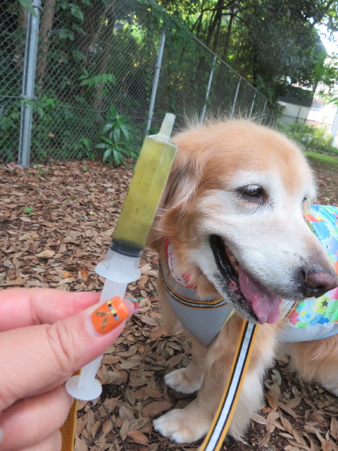 ファイル 6675-3.jpg