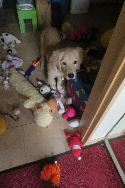 ファイル 6679-2.jpg