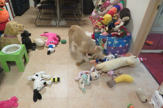 ファイル 6679-3.jpg