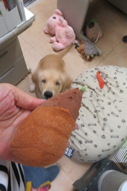 ファイル 6679-4.jpg