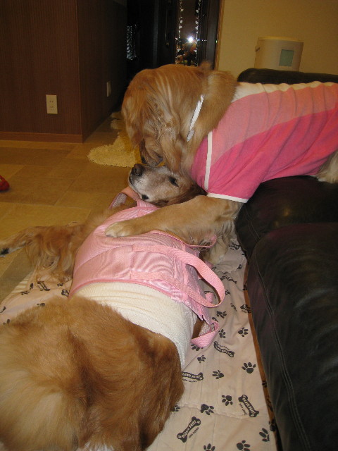 ファイル 668-3.jpg