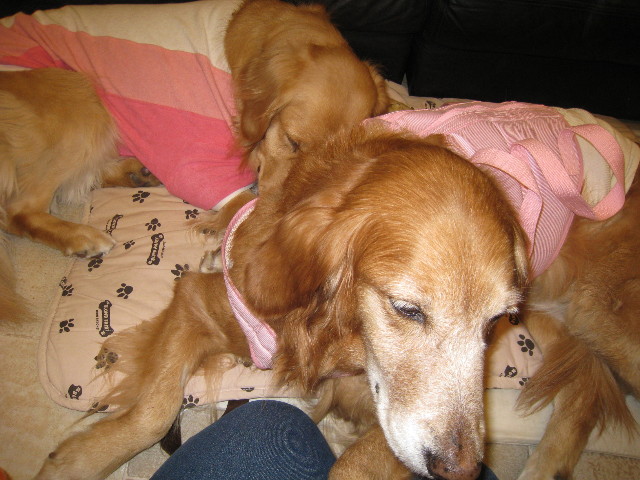 ファイル 668-5.jpg