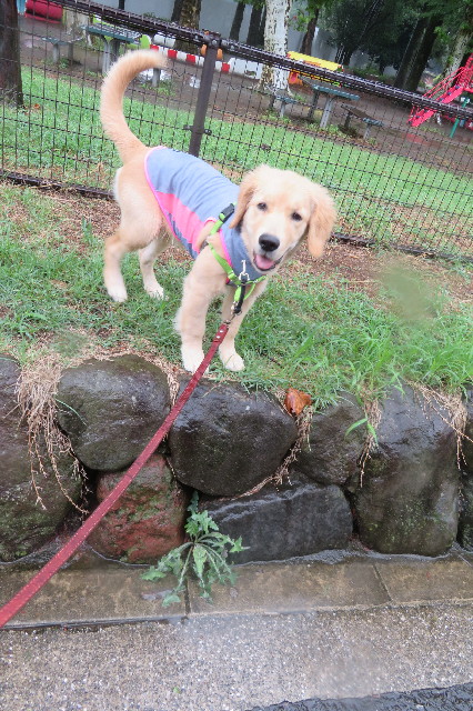 ファイル 6680-1.jpg