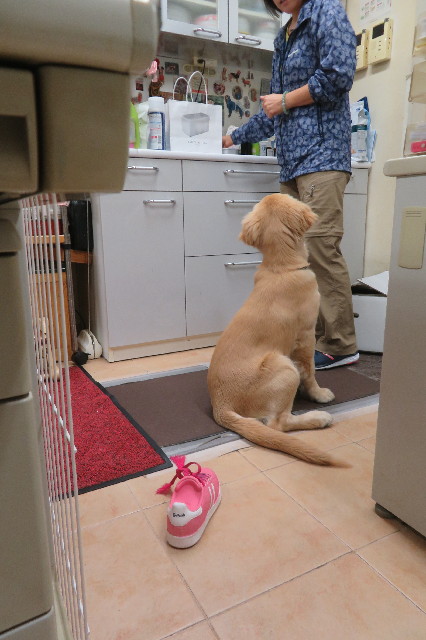 ファイル 6680-4.jpg