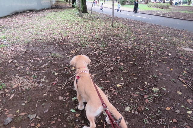 ファイル 6681-3.jpg