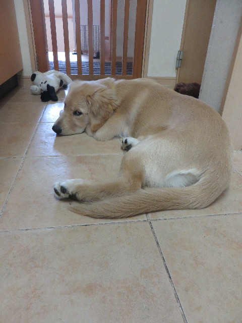 ファイル 6682-2.jpg