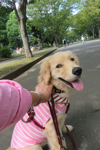 ファイル 6685-2.jpg