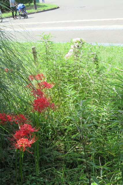 ファイル 6685-3.jpg