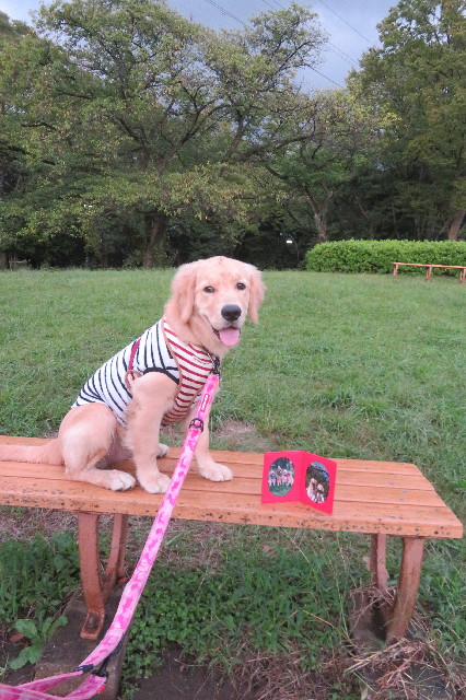 ファイル 6686-4.jpg