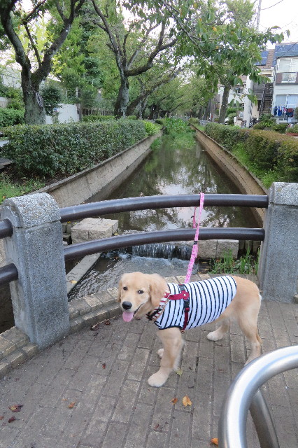 ファイル 6689-1.jpg