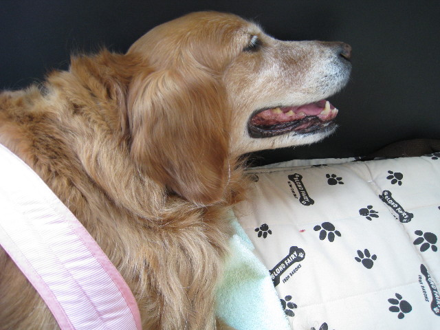 ファイル 669-1.jpg