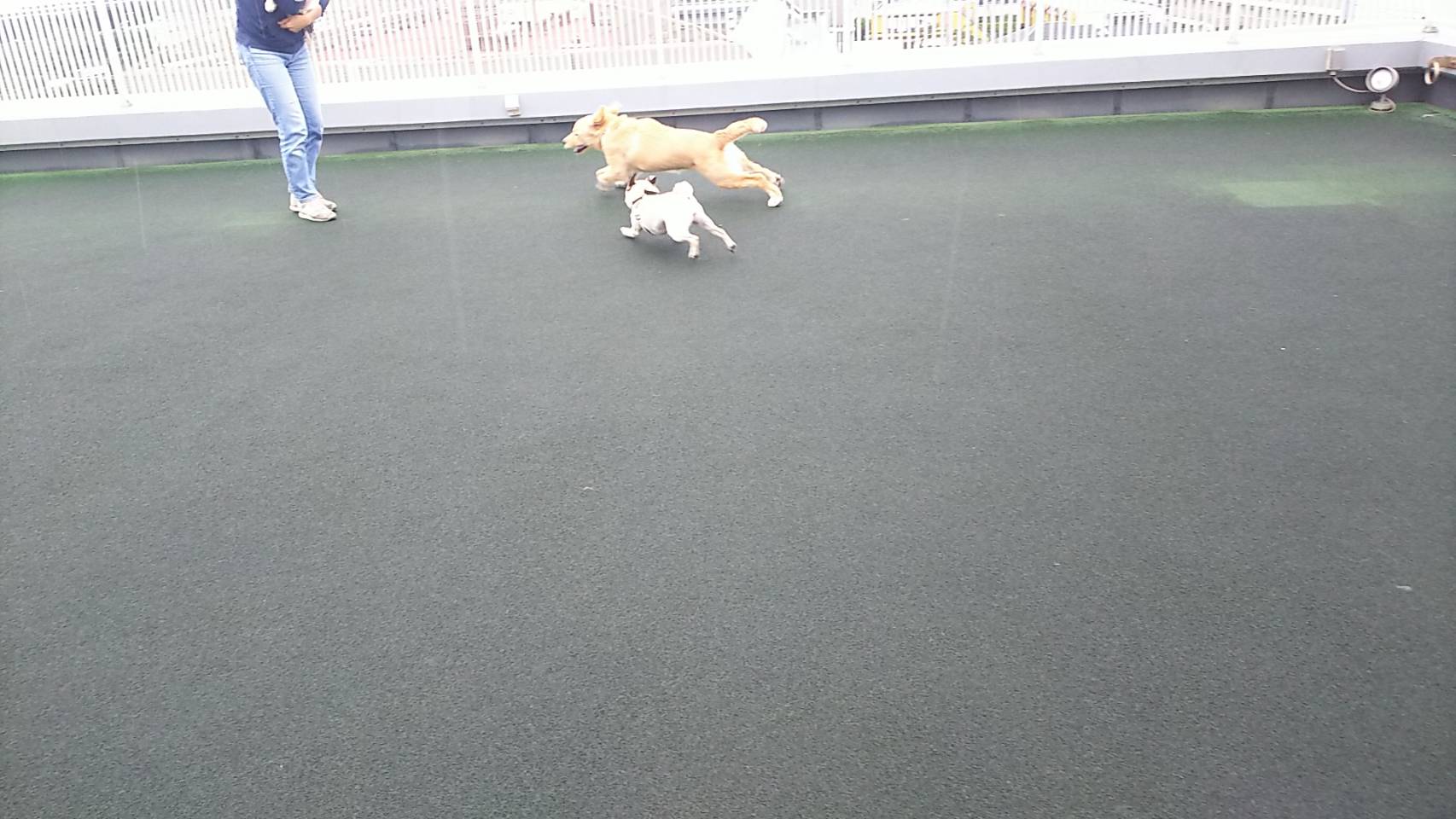 ファイル 6690-4.jpg