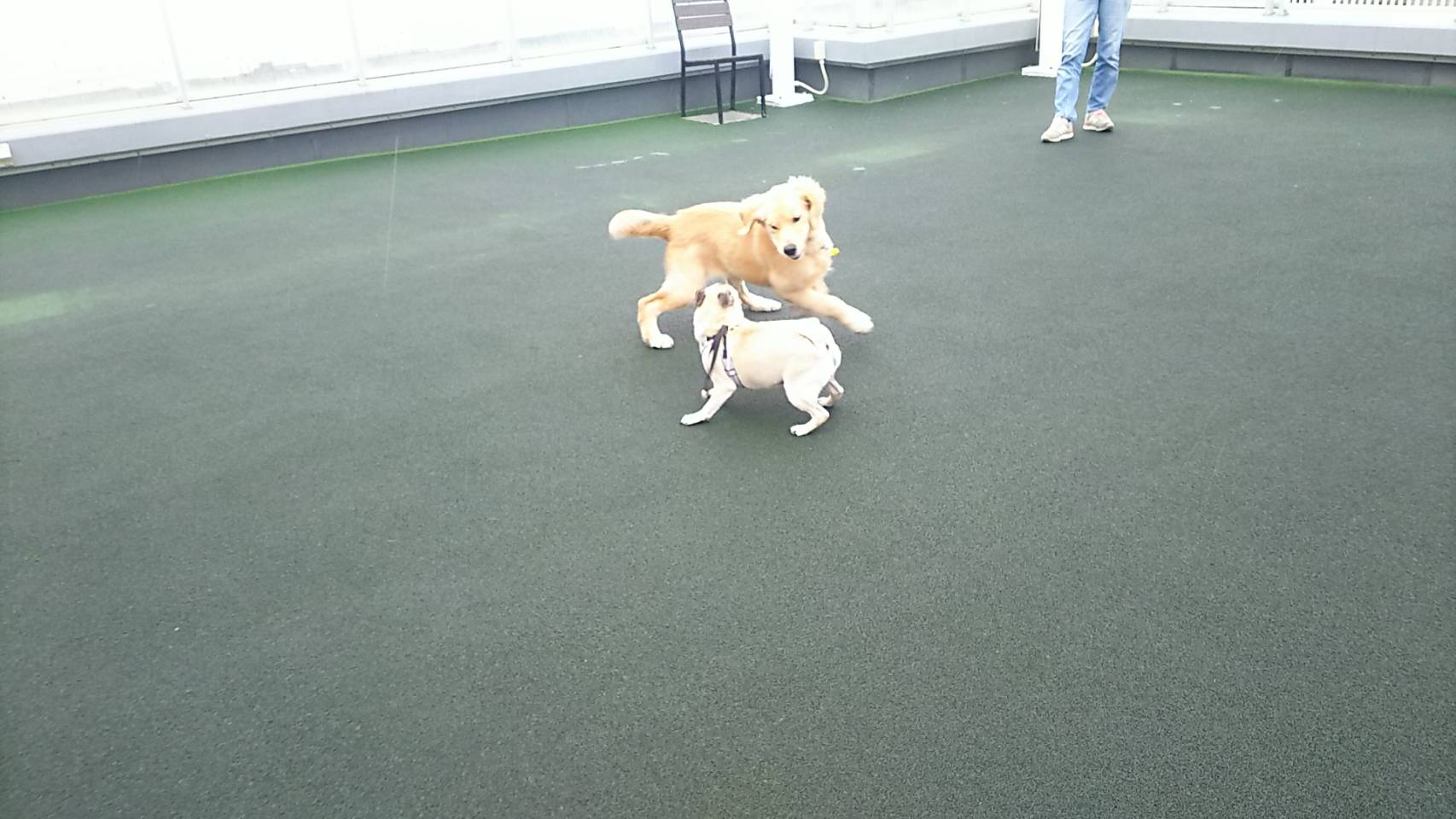 ファイル 6690-5.jpg