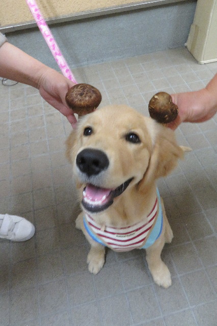 ファイル 6693-2.jpg