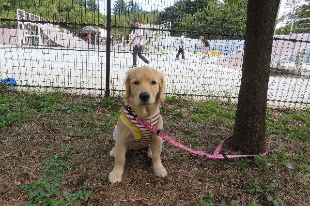 ファイル 6699-3.jpg