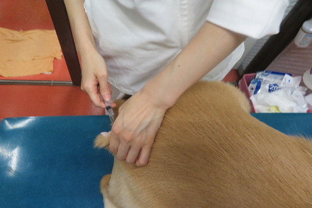 ファイル 6700-2.jpg