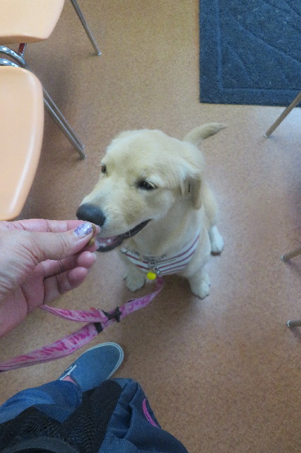 ファイル 6700-4.jpg