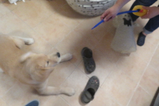 ファイル 6701-4.jpg