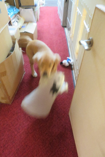 ファイル 6701-5.jpg