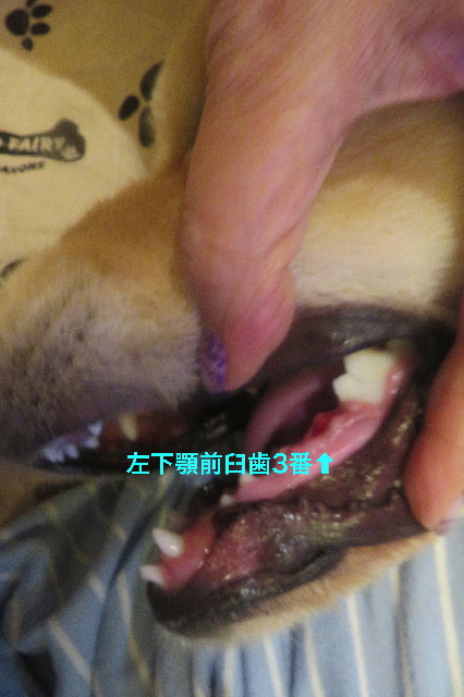 ファイル 6702-2.jpg