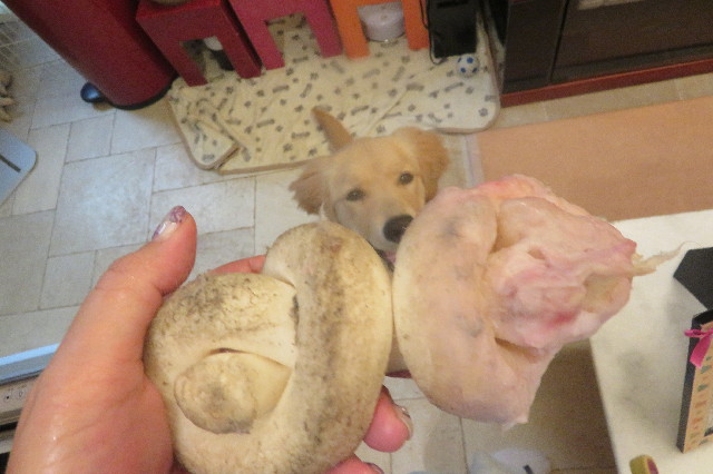 ファイル 6702-4.jpg