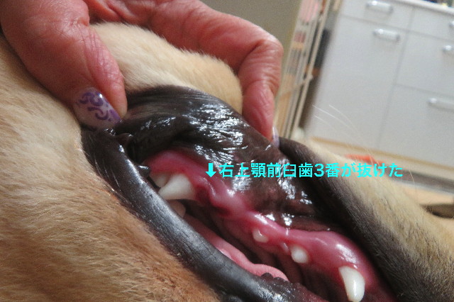 ファイル 6702-5.jpg