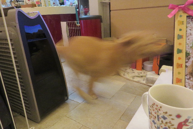 ファイル 6704-1.jpg