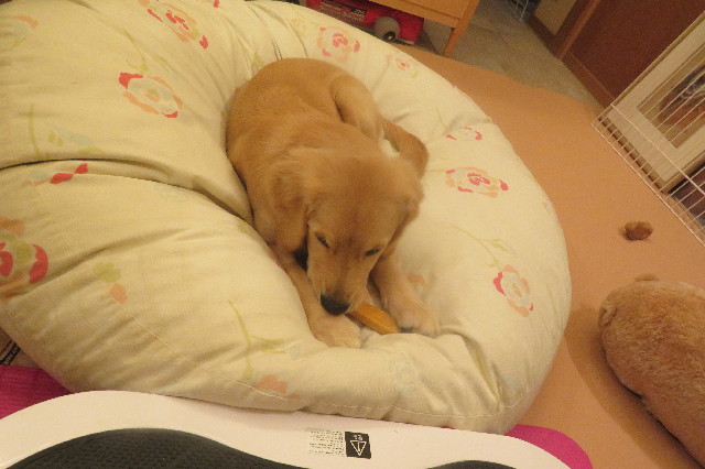 ファイル 6705-1.jpg