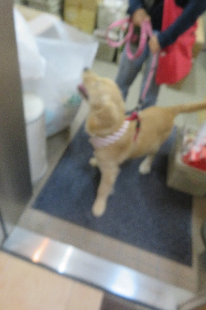 ファイル 6705-5.jpg