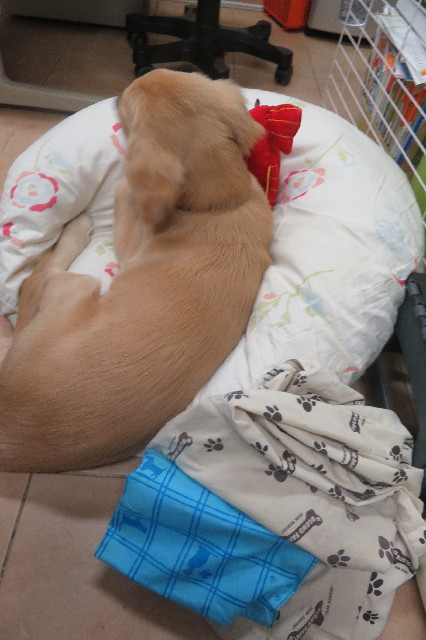 ファイル 6706-1.jpg