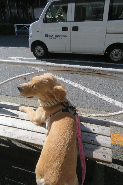 ファイル 6706-2.jpg