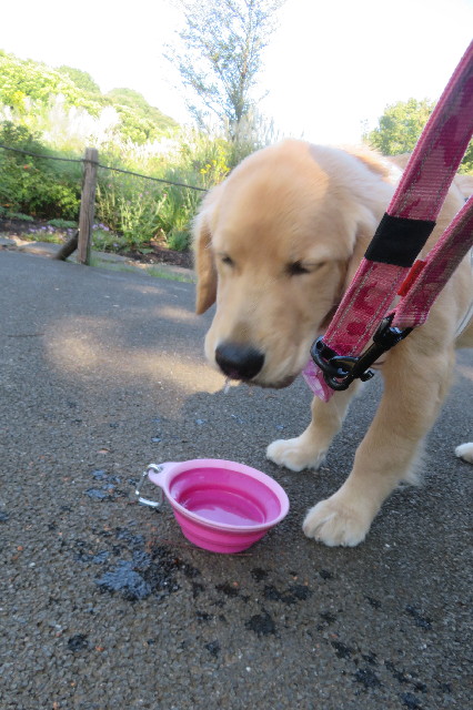 ファイル 6706-5.jpg