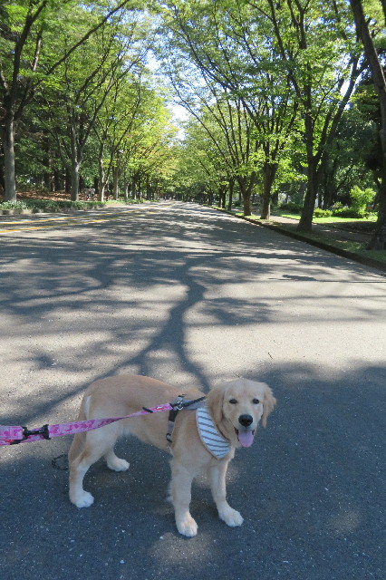 ファイル 6707-2.jpg