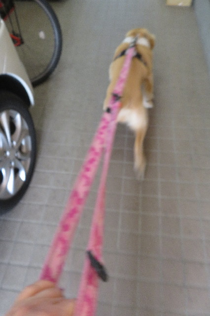 ファイル 6707-3.jpg