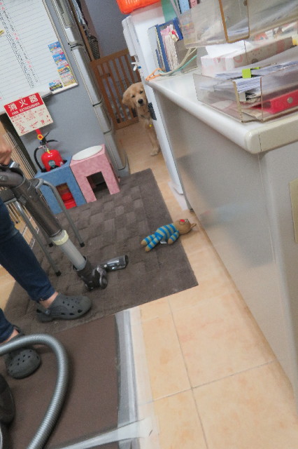 ファイル 6708-1.jpg