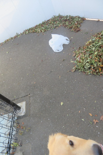 ファイル 6708-4.jpg