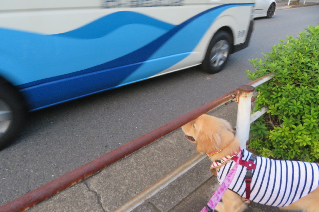 ファイル 6708-5.jpg