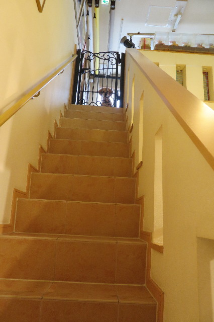 ファイル 6709-3.jpg