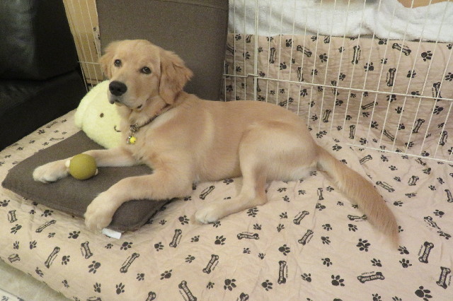 ファイル 6710-1.jpg