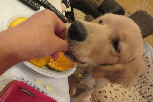 ファイル 6710-3.jpg