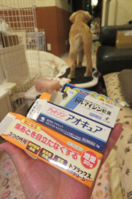 ファイル 6710-4.jpg