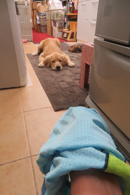 ファイル 6711-1.jpg