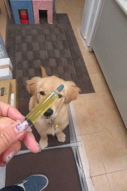 ファイル 6712-2.jpg